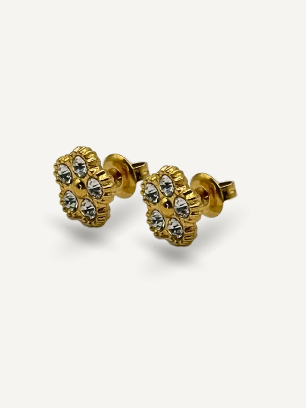 Boucles d’oreilles Strass en acier inoxydable