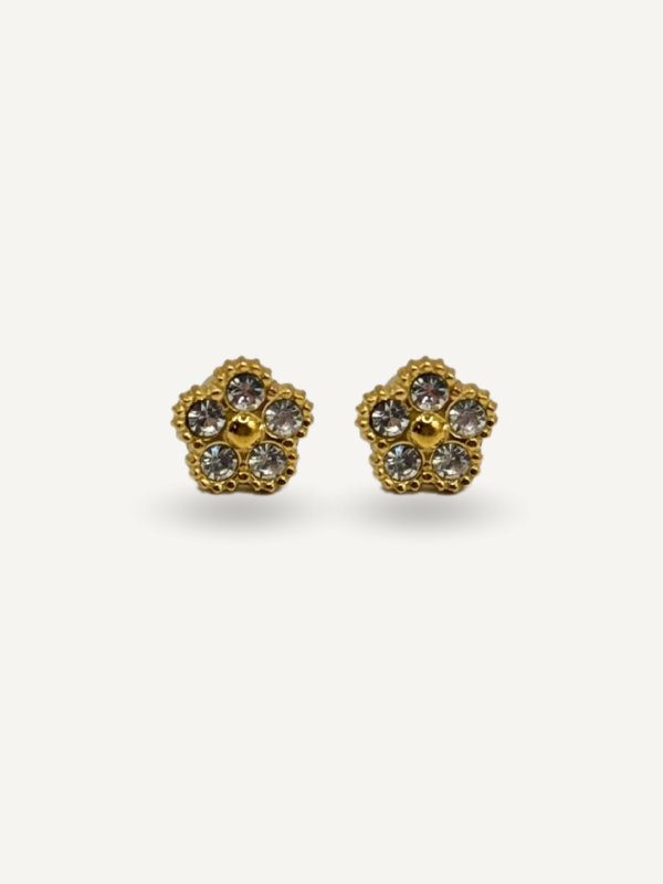 Boucles d’oreilles Strass en acier inoxydable